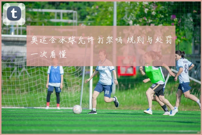 奥运会冰球允许打架吗 规则与处罚一次看懂